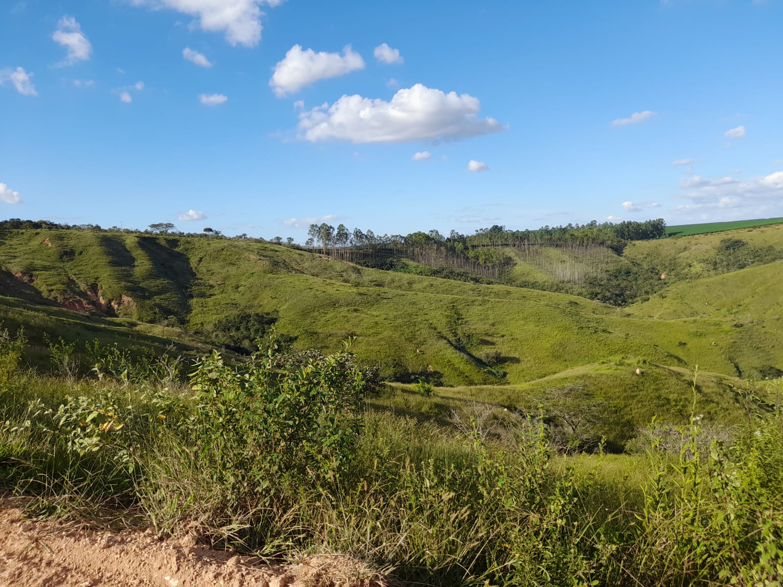 Chácara à venda com 1 quarto, 1000000m² - Foto 19