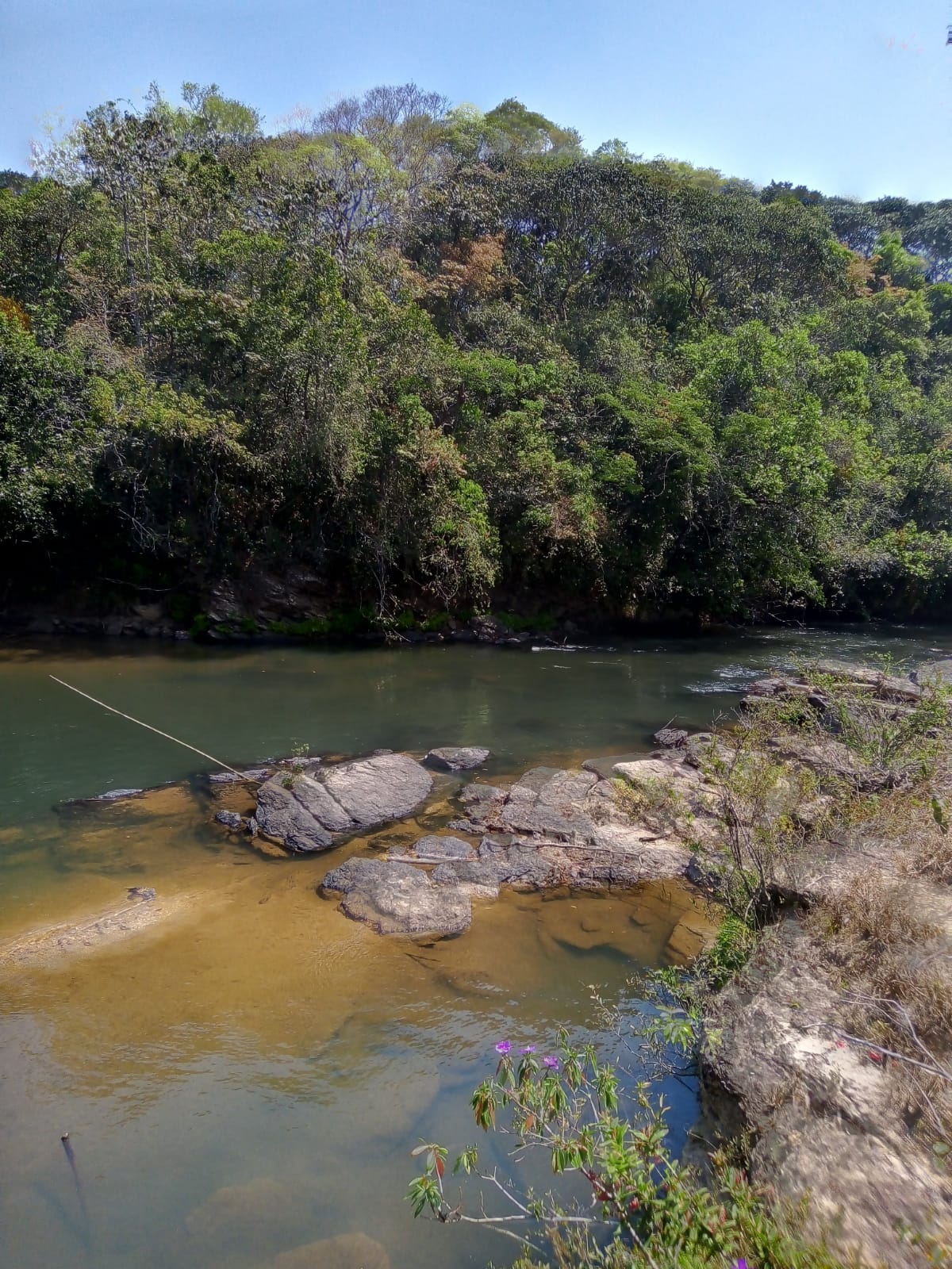 Chácara à venda com 1 quarto, 50000m² - Foto 3