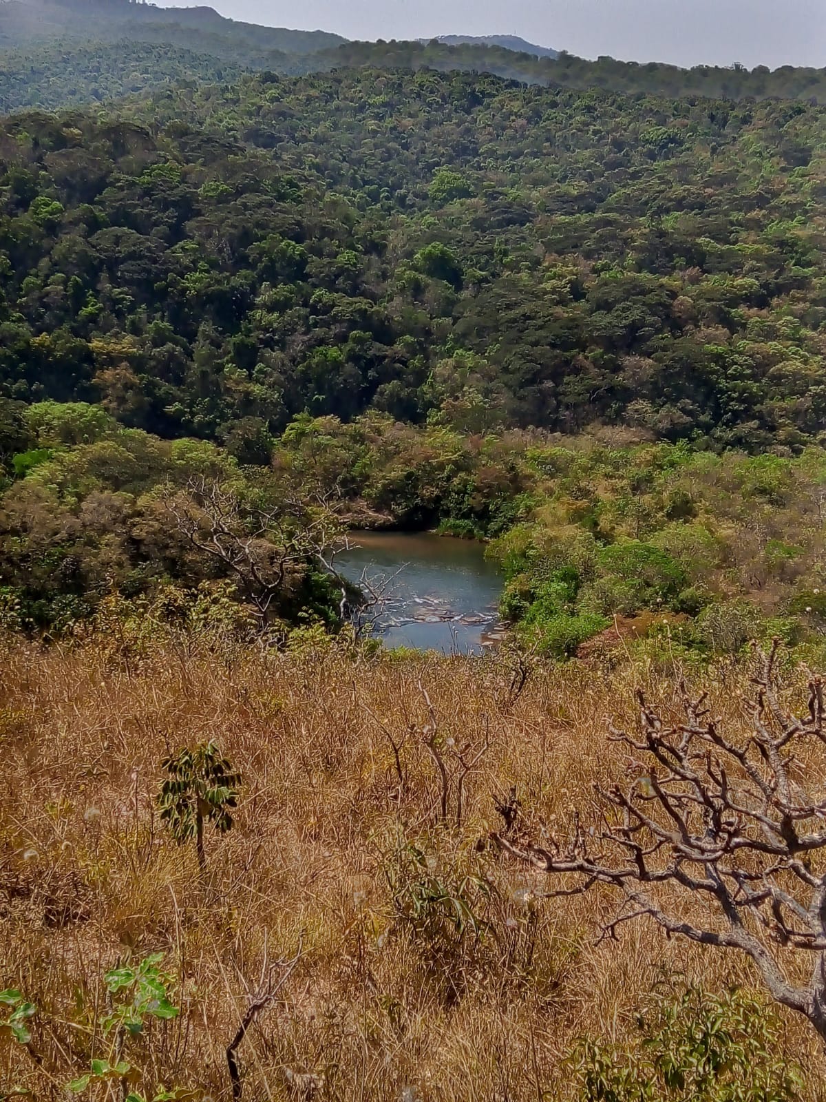 Chácara à venda com 1 quarto, 50000m² - Foto 5