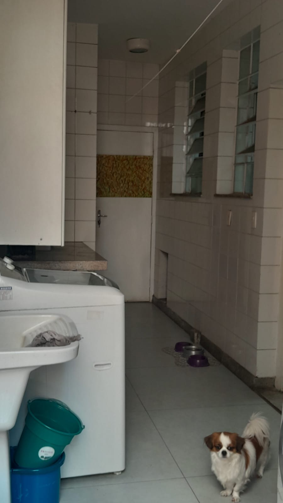 Apartamento à venda com 3 quartos, 46m² - Foto 15