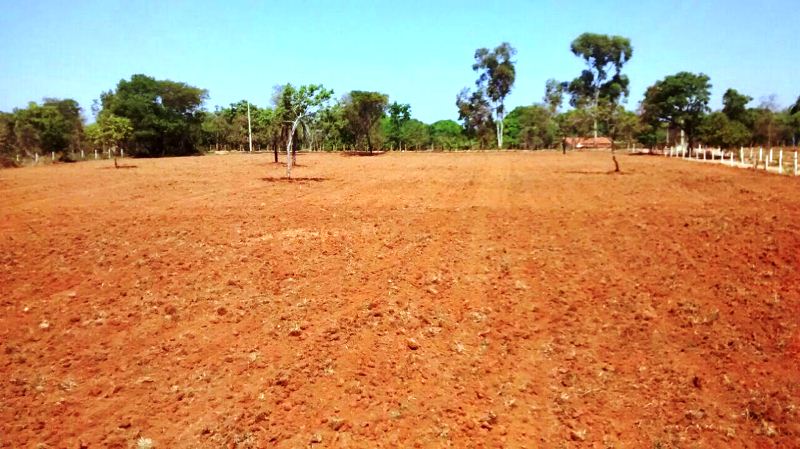 Chácara à venda com 1 quarto, 50000m² - Foto 6