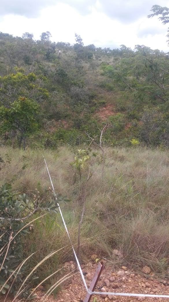 Terreno à venda - Foto 2