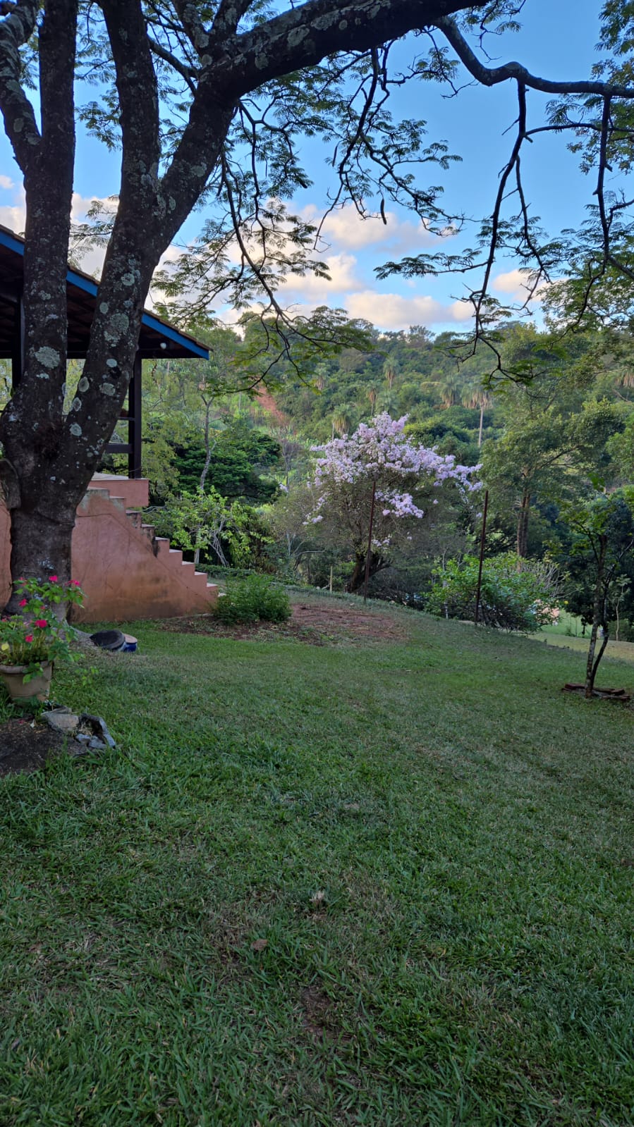 Chácara à venda com 3 quartos, 140m² - Foto 5