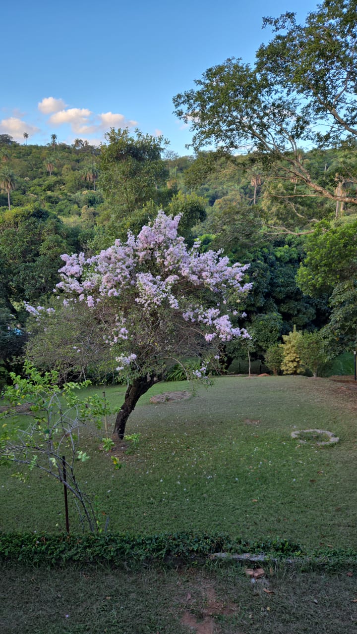 Chácara à venda com 3 quartos, 140m² - Foto 2