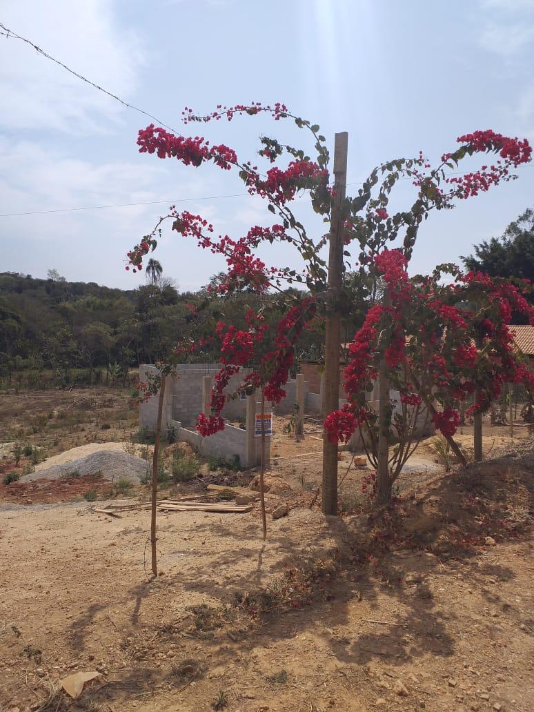 Chácara à venda com 1 quarto - Foto 3