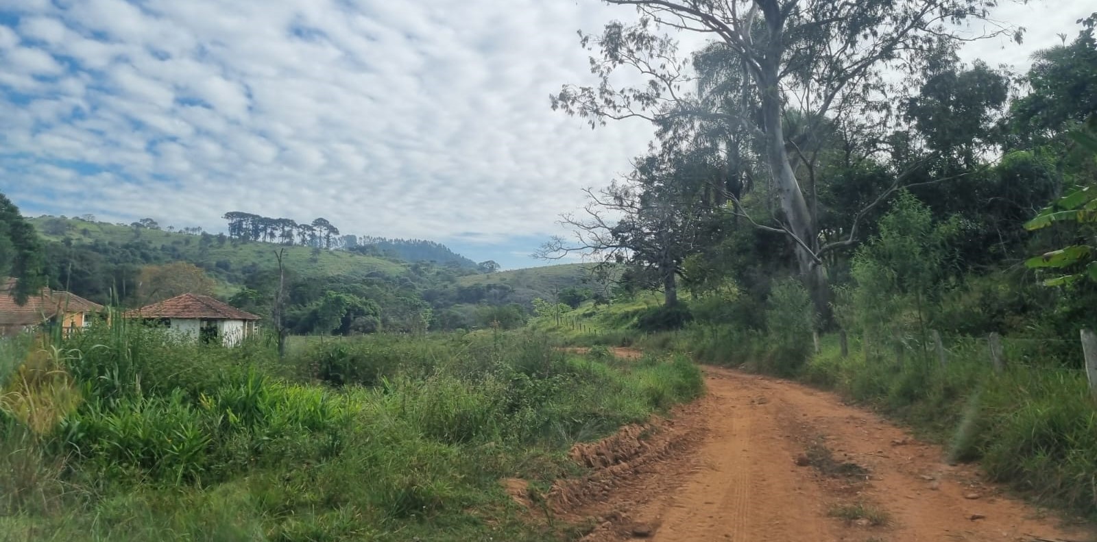 Chácara à venda com 4 quartos - Foto 9