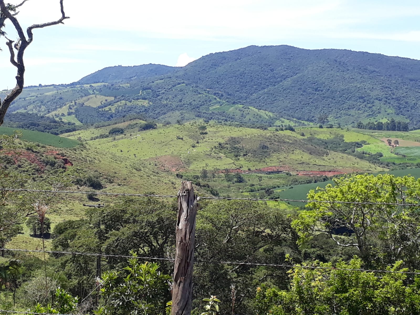 Chácara à venda com 1 quarto - Foto 6