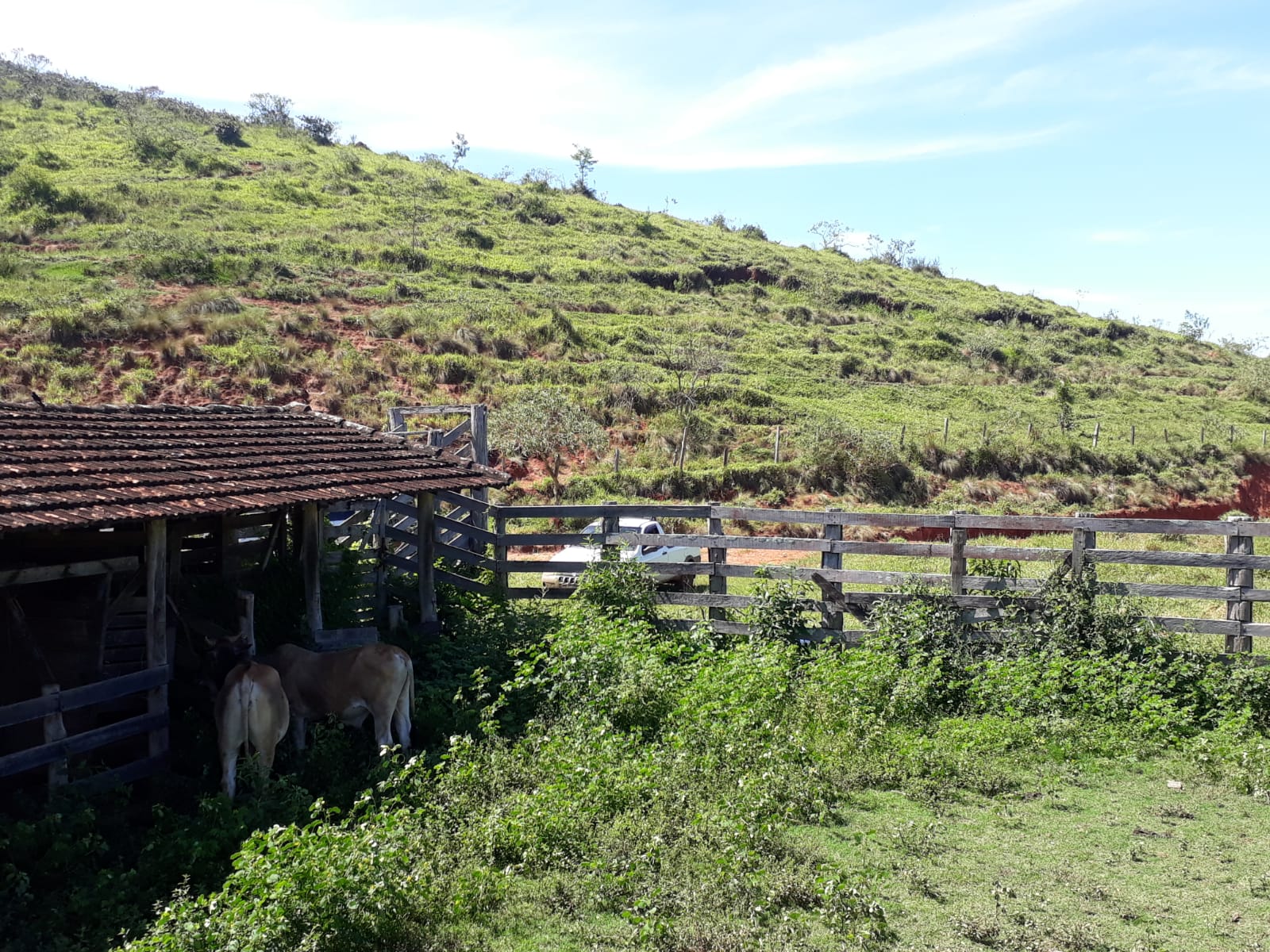 Chácara à venda com 1 quarto - Foto 7