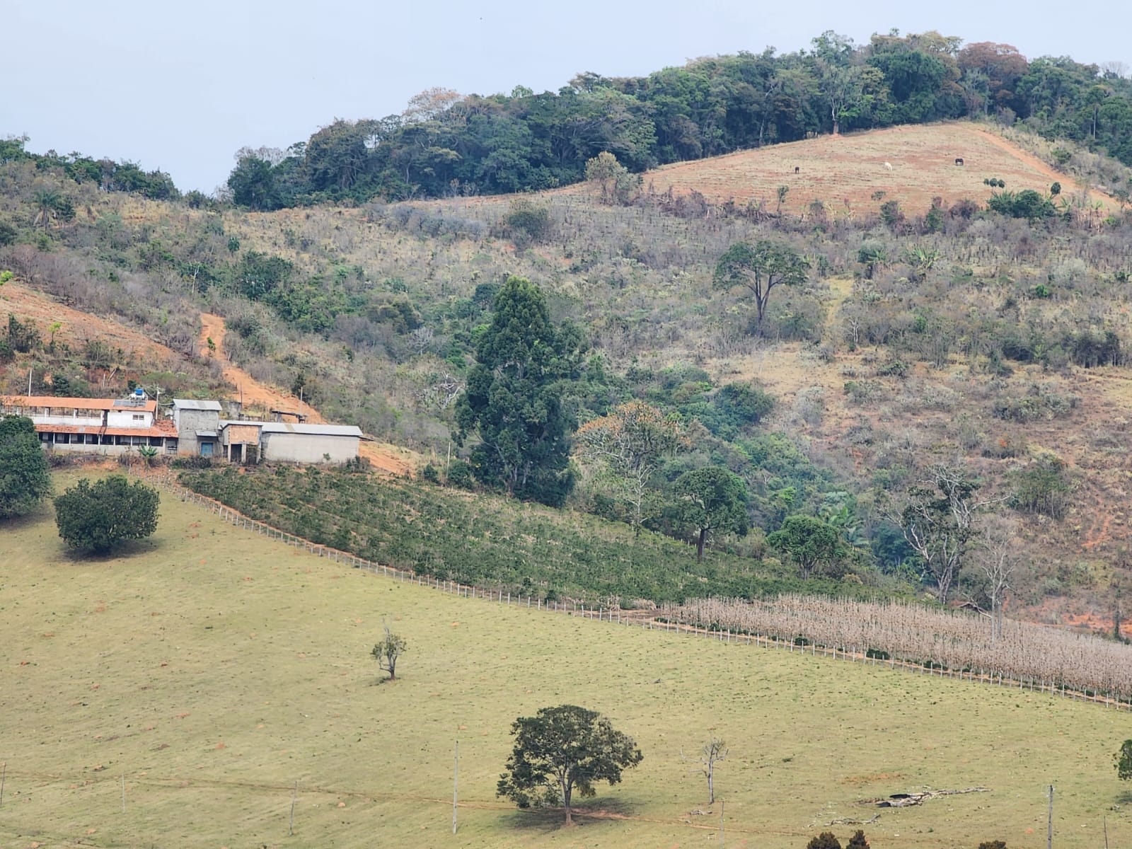 Chácara à venda com 2 quartos, 166m² - Foto 1