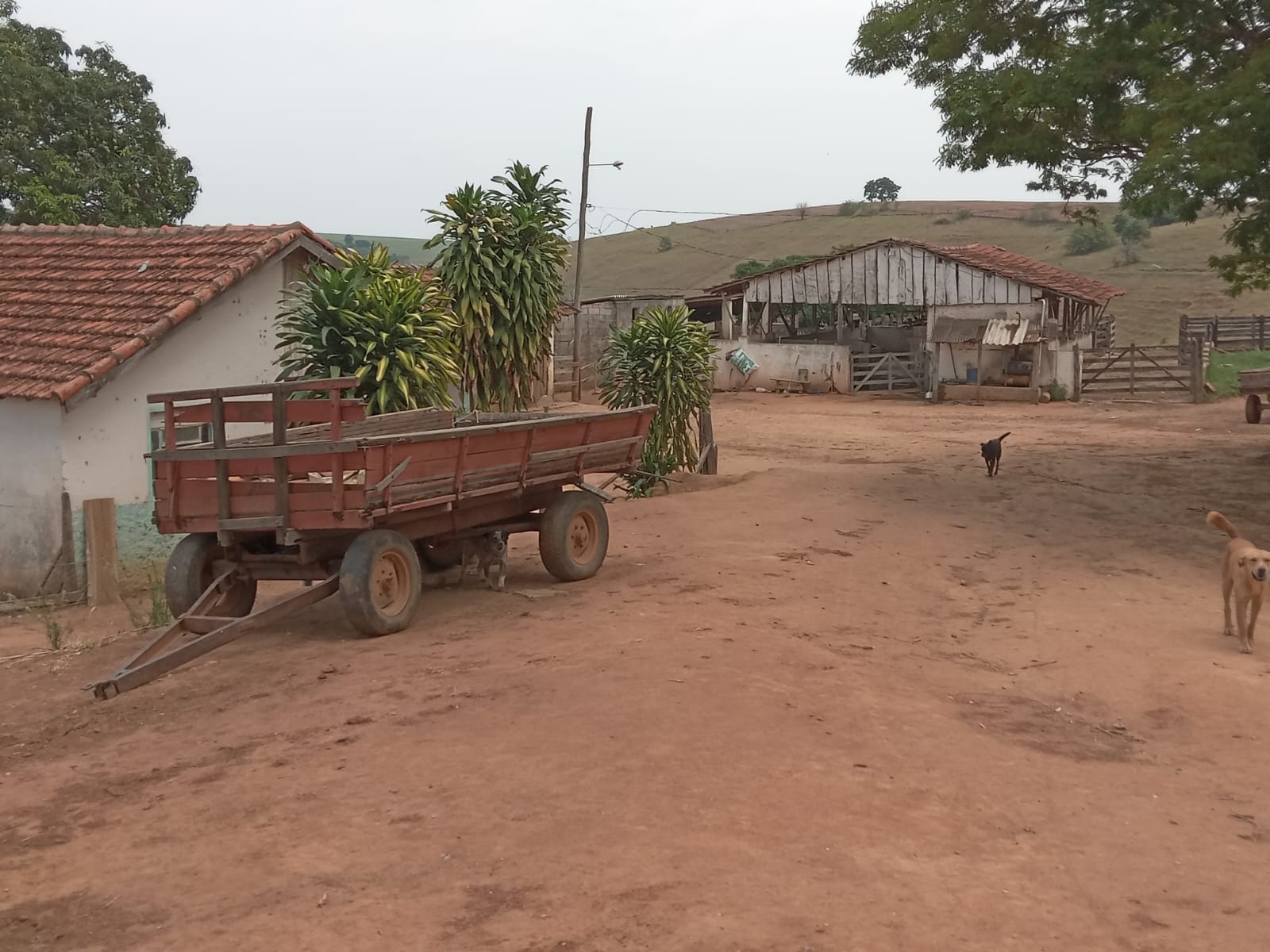 Chácara à venda com 1 quarto, 968m² - Foto 23