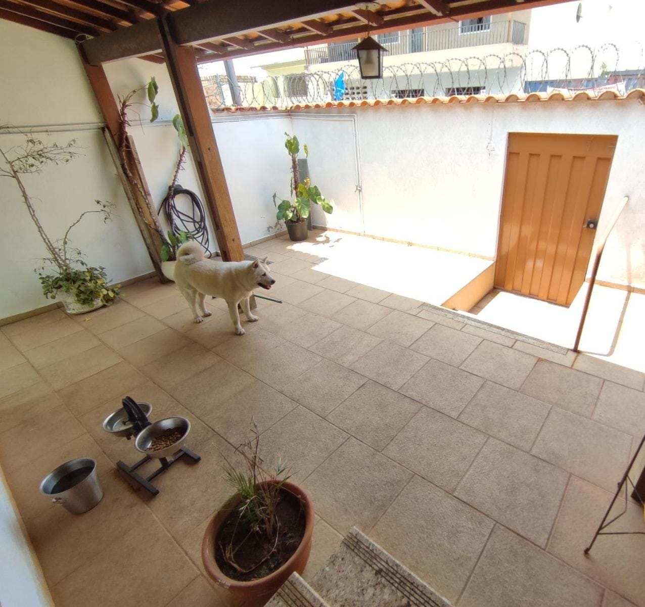 Casa à venda com 4 quartos, 400m² - Foto 3