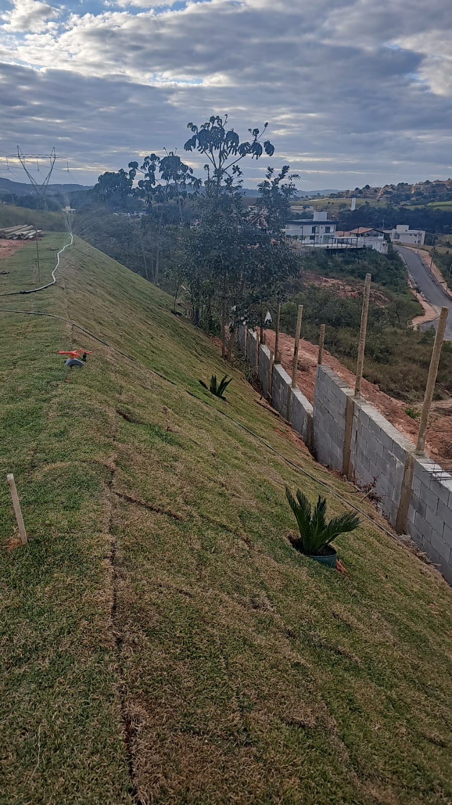 Terreno à venda - Foto 6