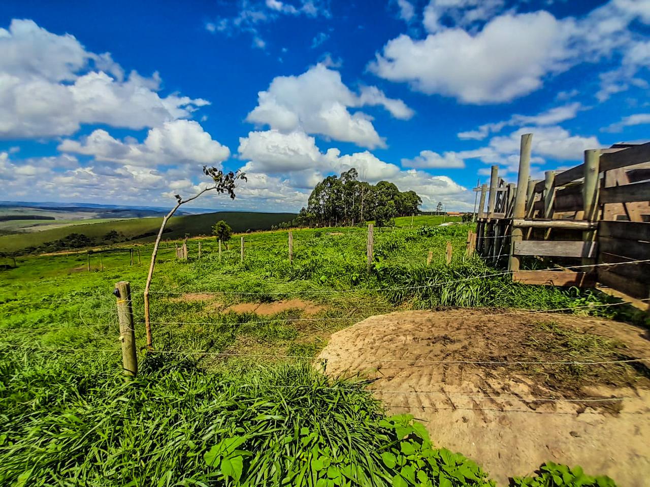 Chácara à venda com 3 quartos - Foto 6