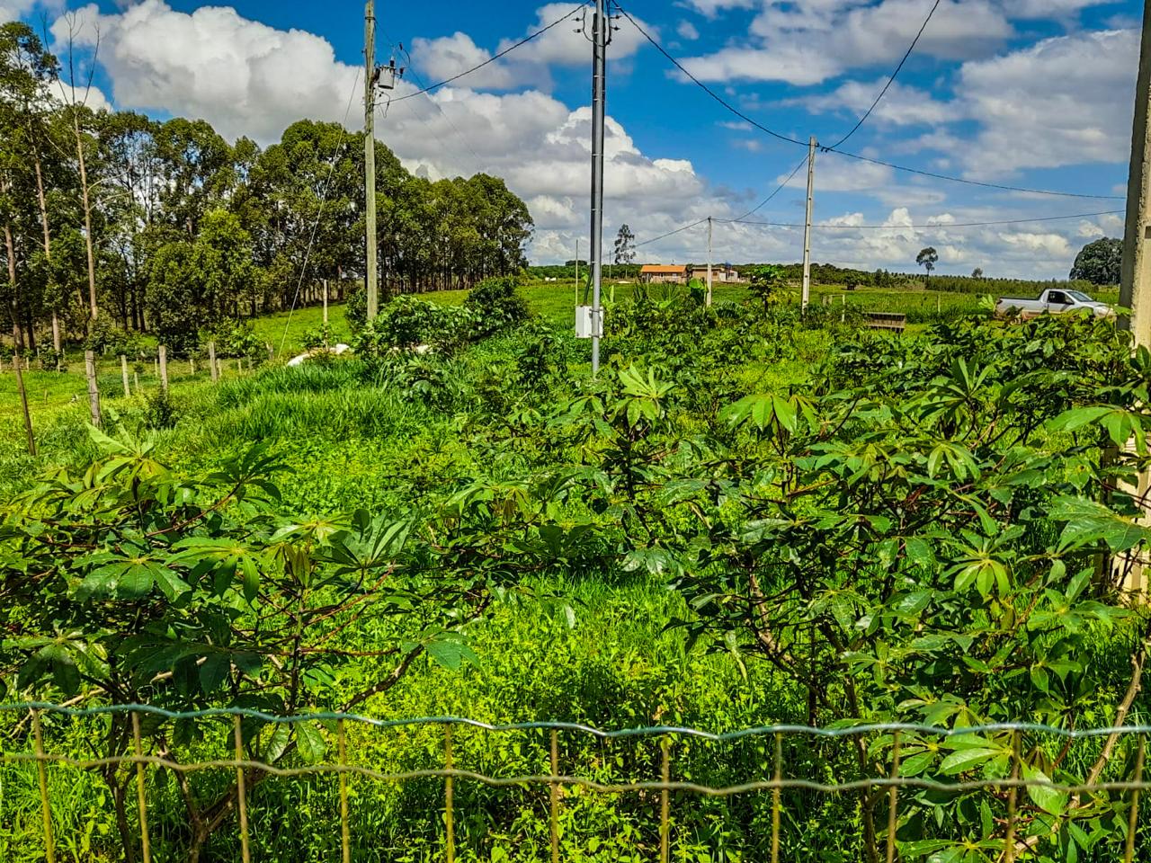 Chácara à venda com 3 quartos - Foto 17