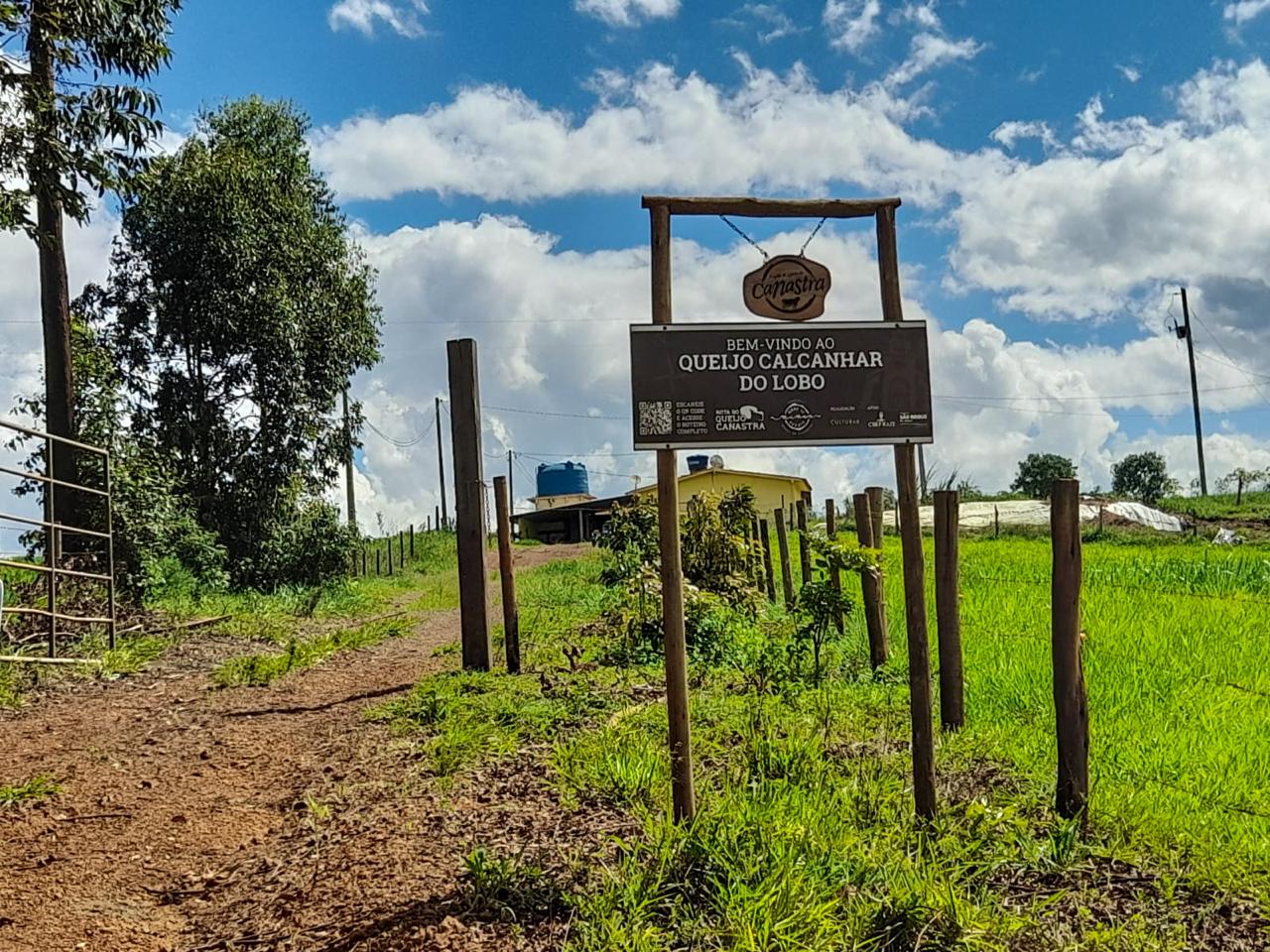 Chácara à venda com 3 quartos - Foto 9