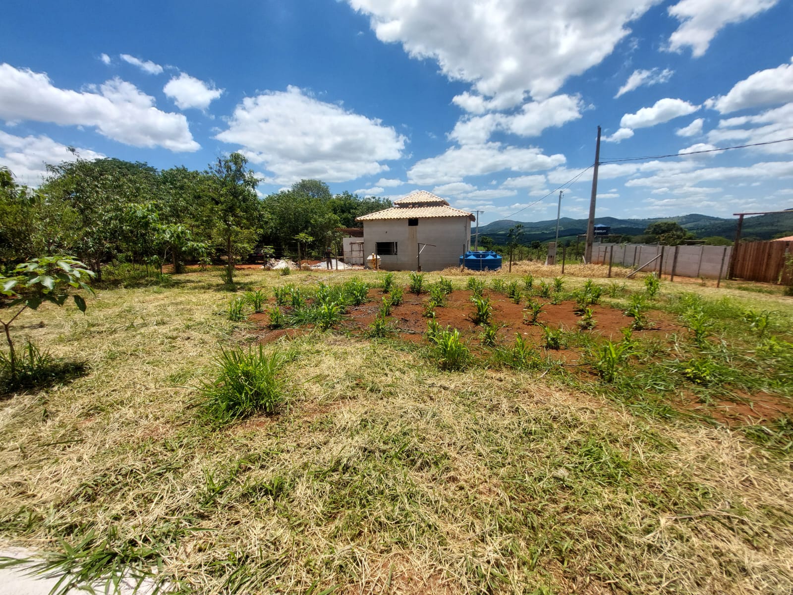 Chácara à venda com 3 quartos, 4300m² - Foto 7