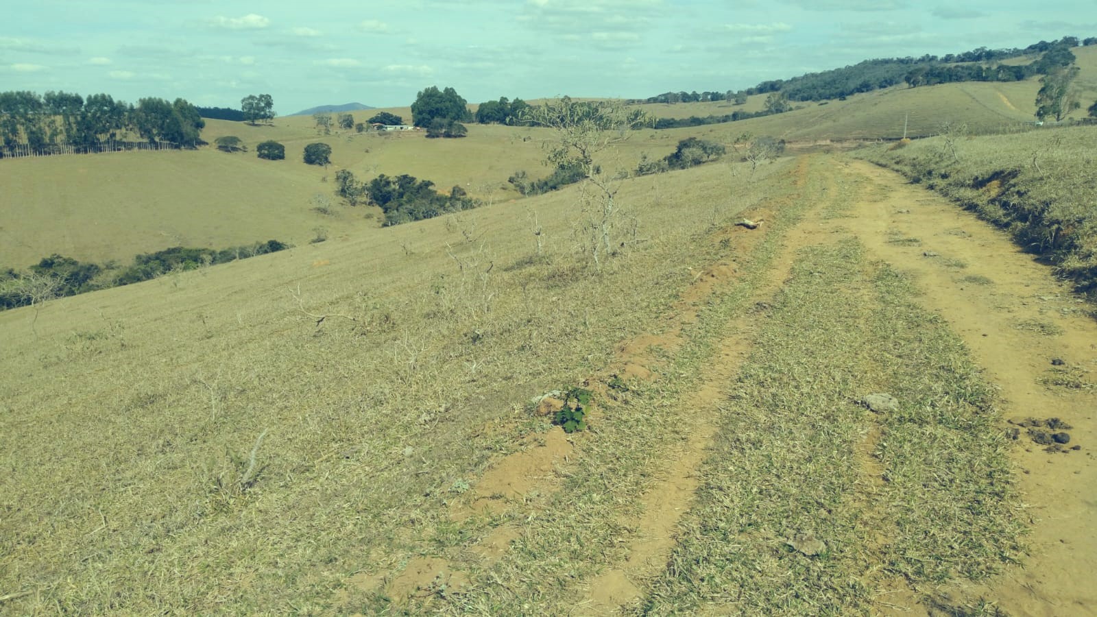 Chácara à venda com 3 quartos, 5590000m² - Foto 2