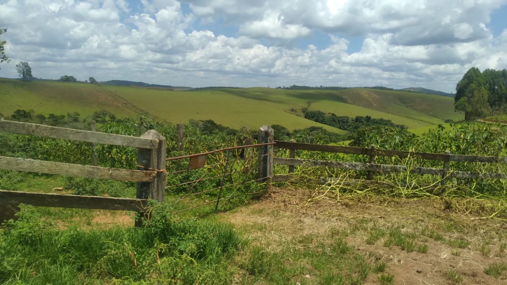 Chácara à venda com 3 quartos, 5590000m² - Foto 16