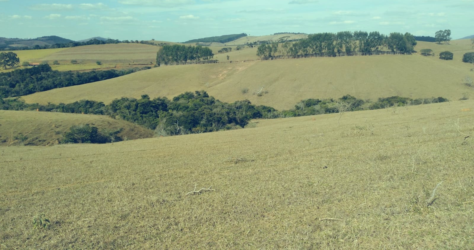 Chácara à venda com 3 quartos, 5590000m² - Foto 10