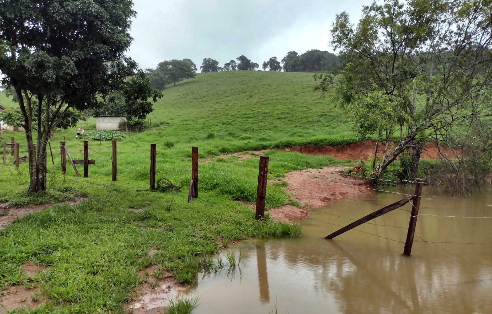 Chácara à venda com 2 quartos, 270000m² - Foto 12