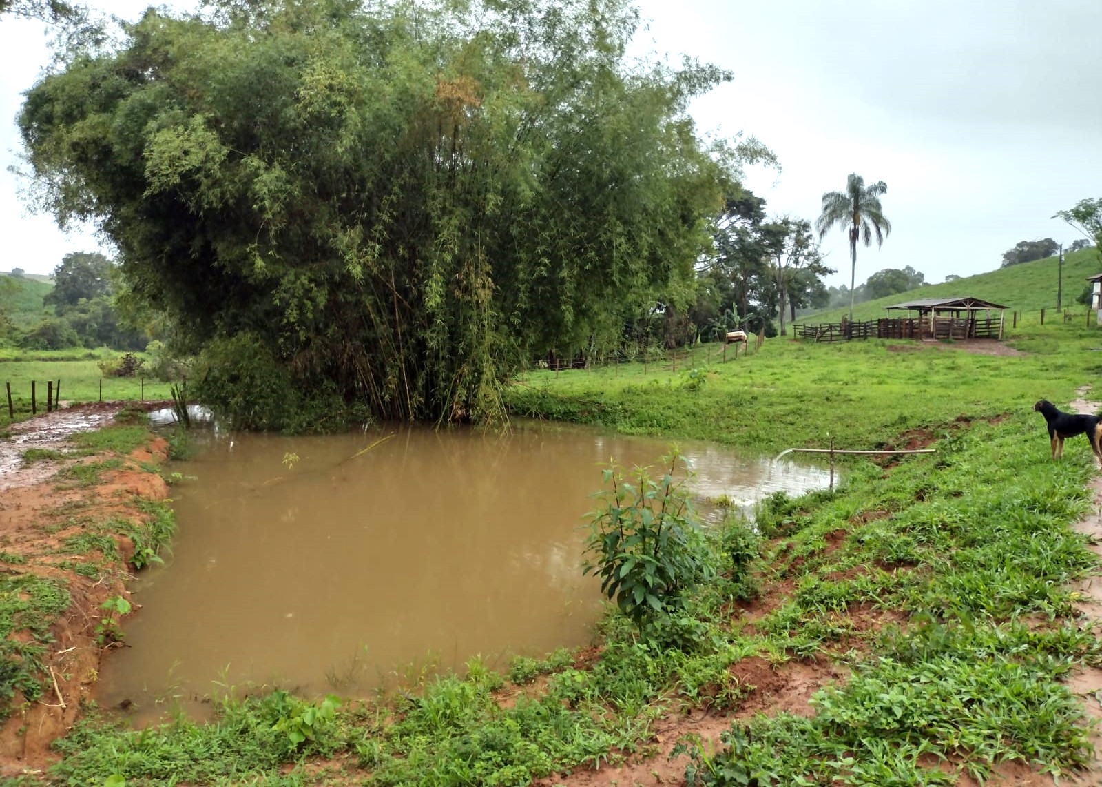 Chácara à venda com 2 quartos, 270000m² - Foto 16