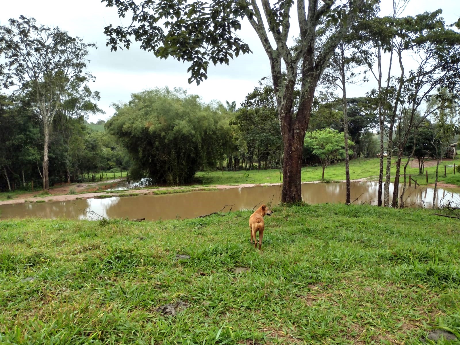 Chácara à venda com 2 quartos, 270000m² - Foto 17