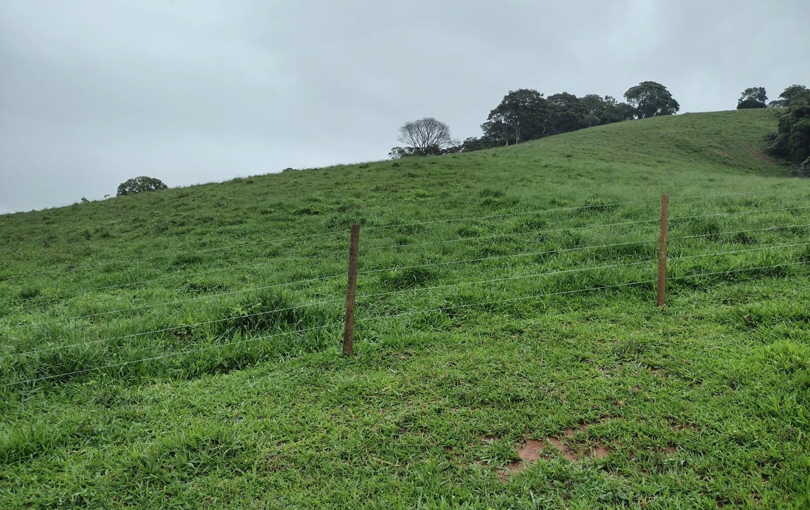 Chácara à venda com 2 quartos, 270000m² - Foto 8