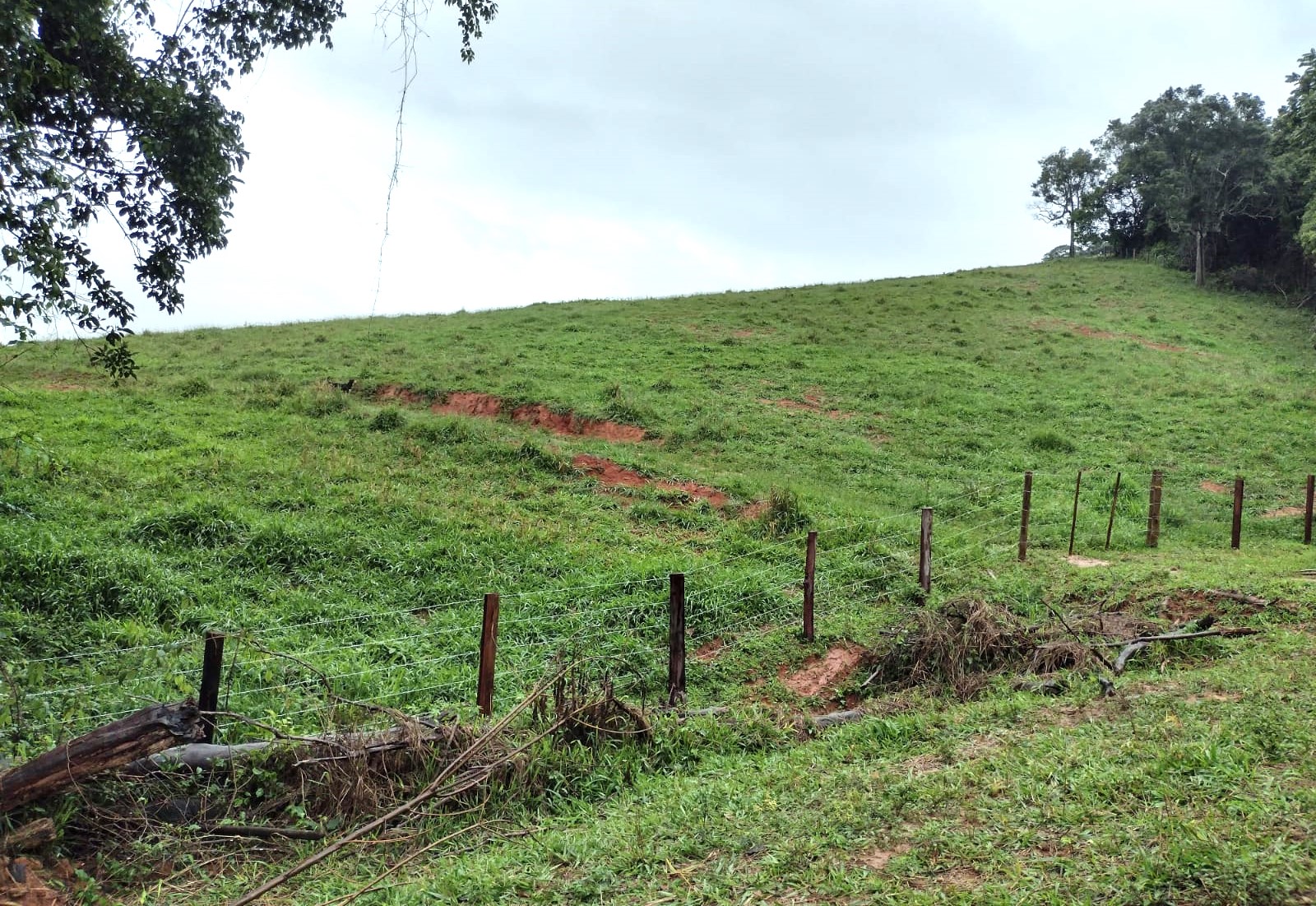 Chácara à venda com 2 quartos, 270000m² - Foto 21