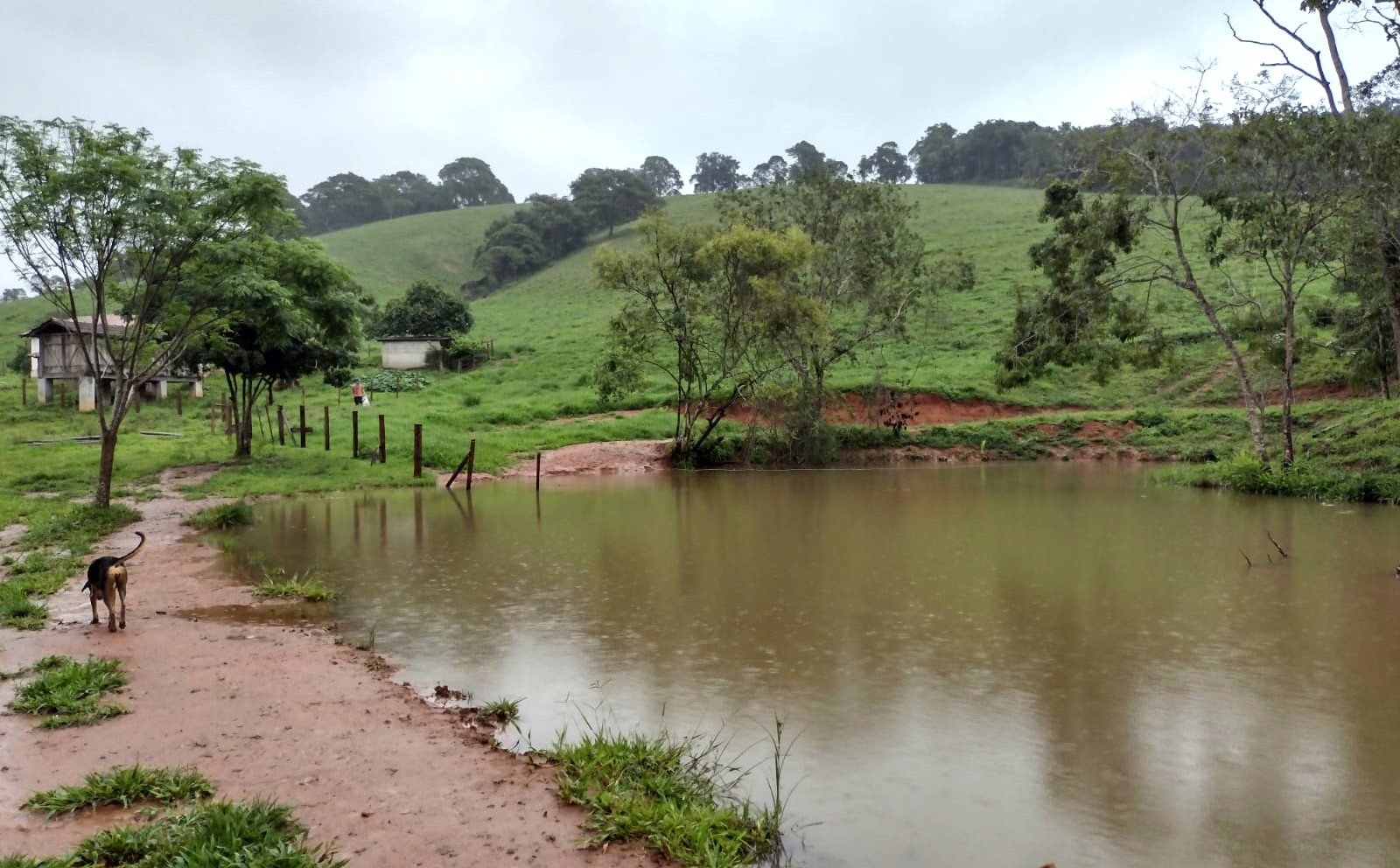 Chácara à venda com 2 quartos, 270000m² - Foto 13