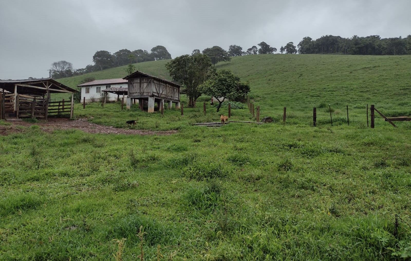 Chácara à venda com 2 quartos, 270000m² - Foto 5