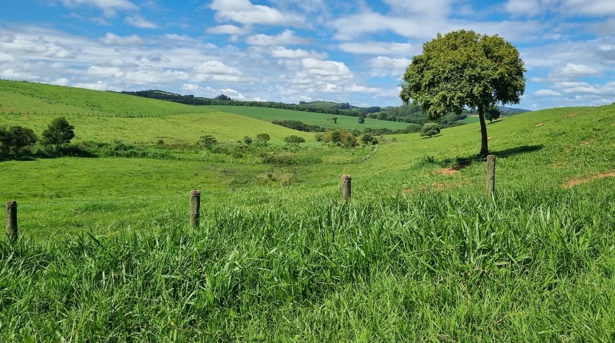 Chácara à venda com 1 quarto, 6590000m² - Foto 3