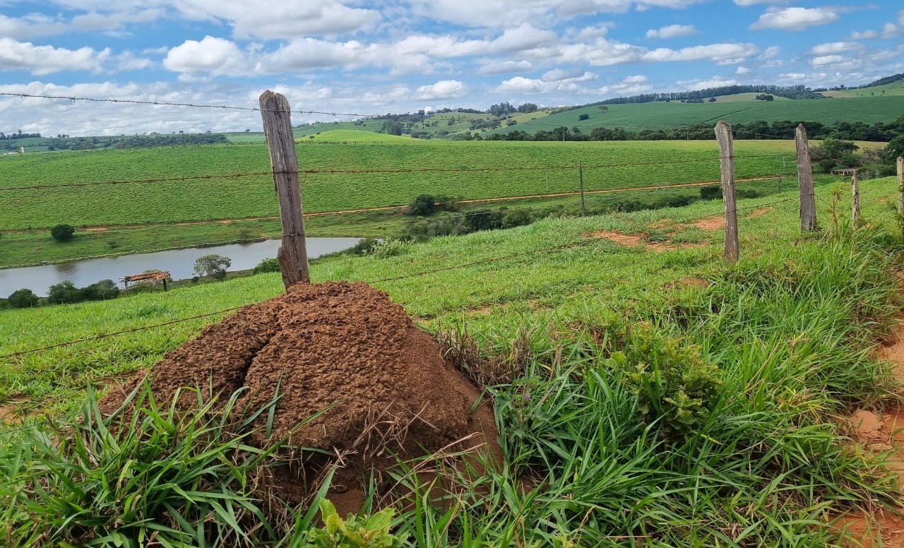 Chácara à venda com 1 quarto, 6590000m² - Foto 22