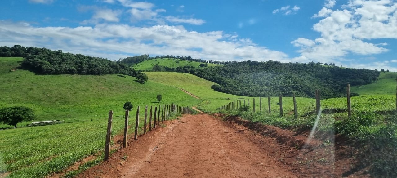 Chácara à venda com 1 quarto, 6590000m² - Foto 10