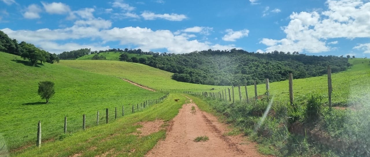 Chácara à venda com 1 quarto, 6590000m² - Foto 9