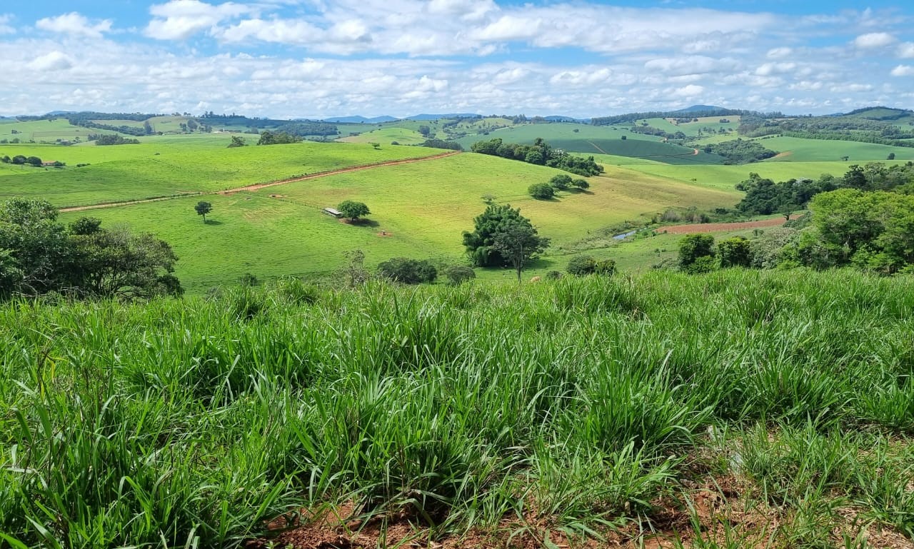 Chácara à venda com 1 quarto, 6590000m² - Foto 13