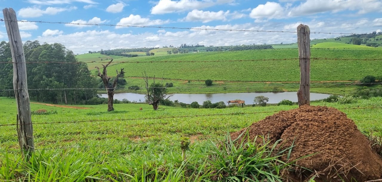 Chácara à venda com 1 quarto, 6590000m² - Foto 24