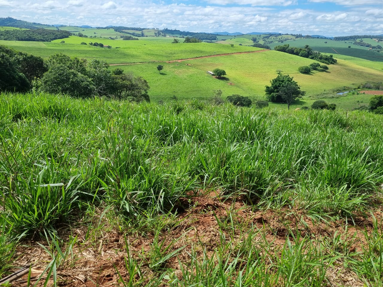 Chácara à venda com 1 quarto, 6590000m² - Foto 15