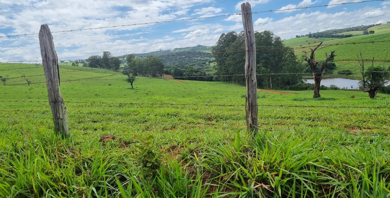 Chácara à venda com 1 quarto, 6590000m² - Foto 23