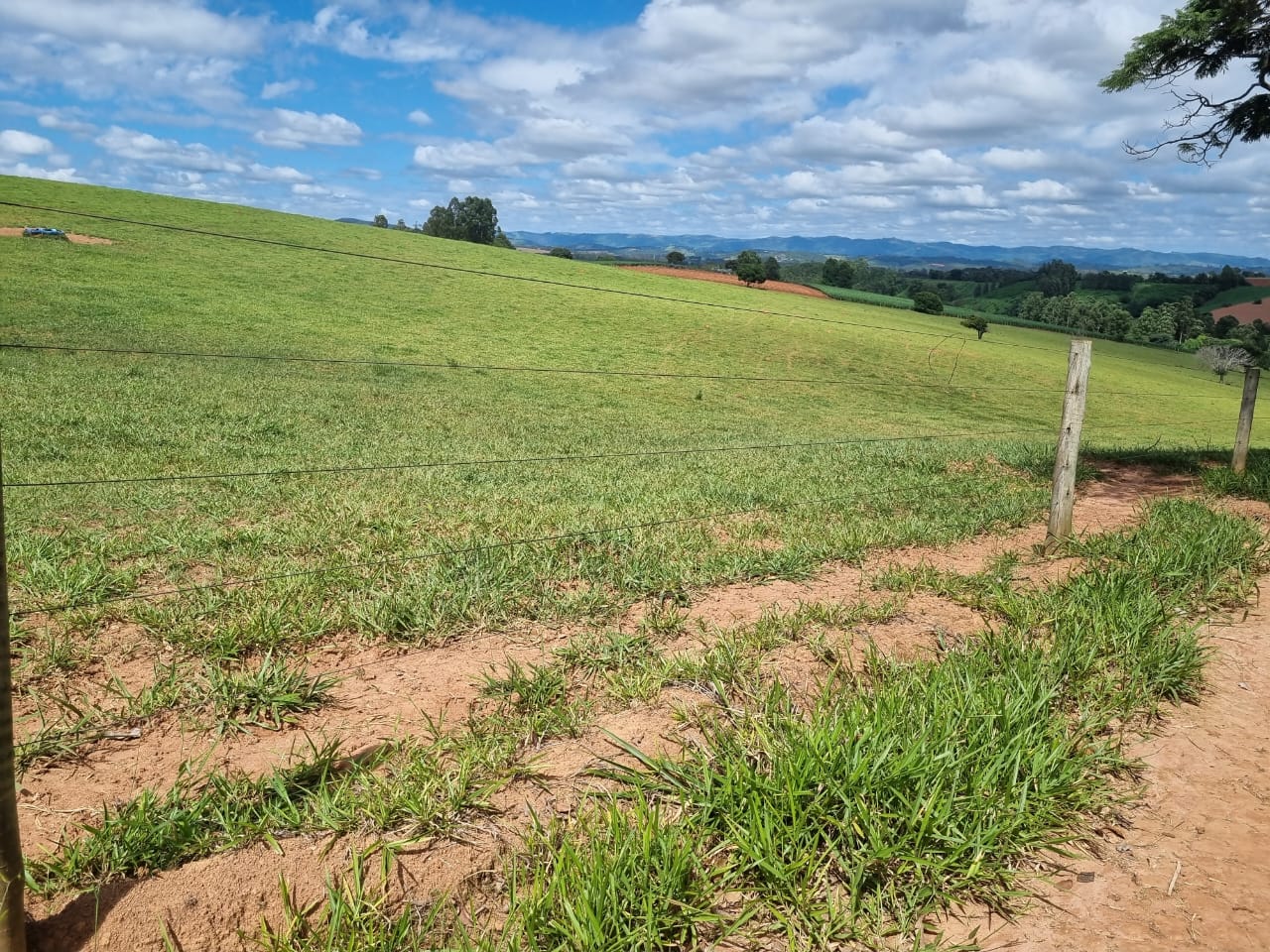 Chácara à venda com 1 quarto, 6590000m² - Foto 17