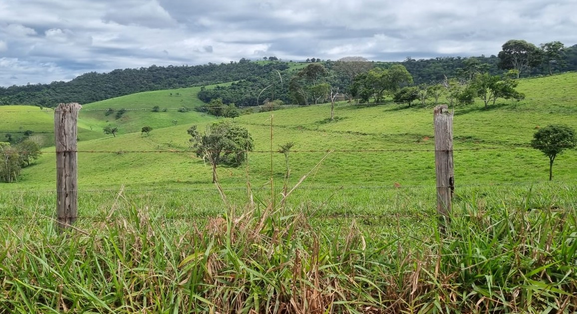 Chácara à venda com 1 quarto, 6590000m² - Foto 11