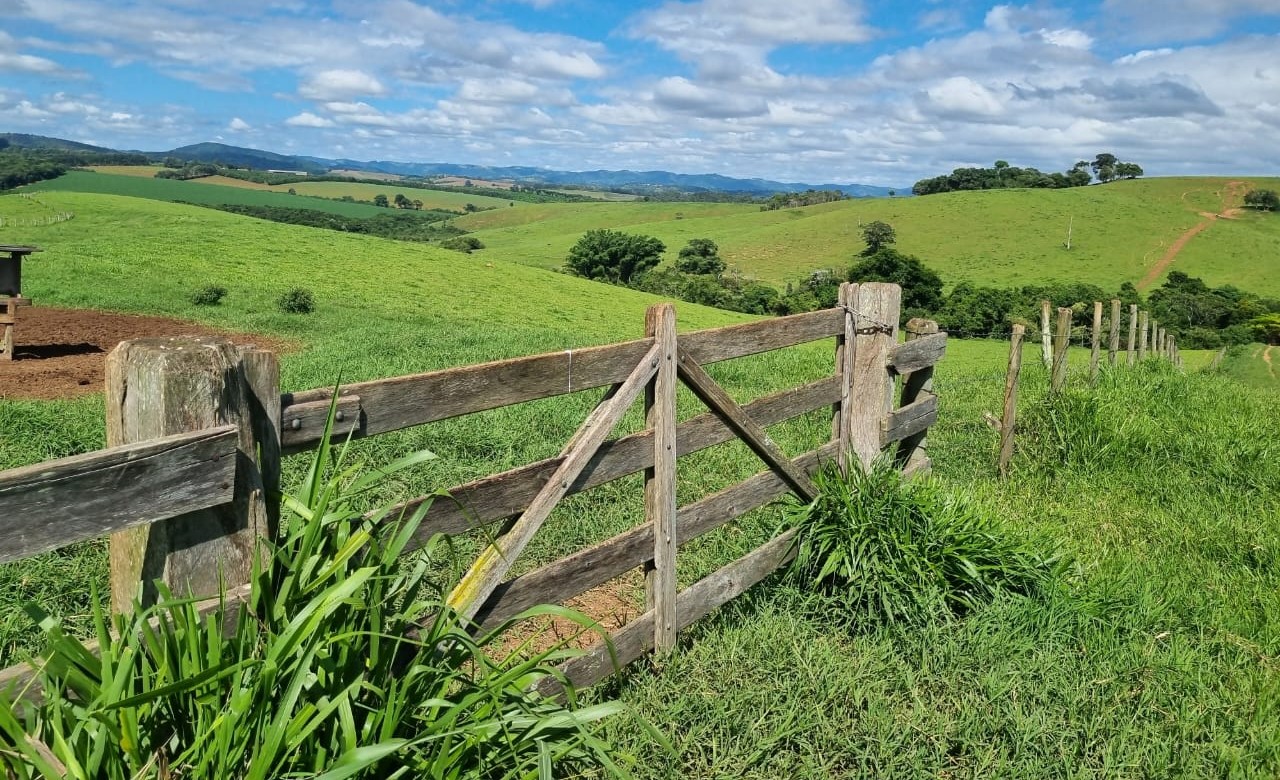 Chácara à venda com 1 quarto, 6590000m² - Foto 19