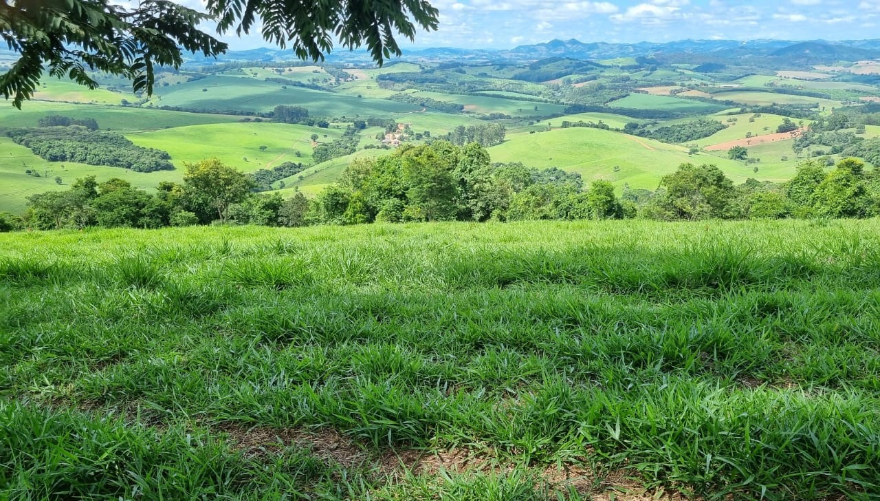 Chácara à venda com 1 quarto, 6590000m² - Foto 2