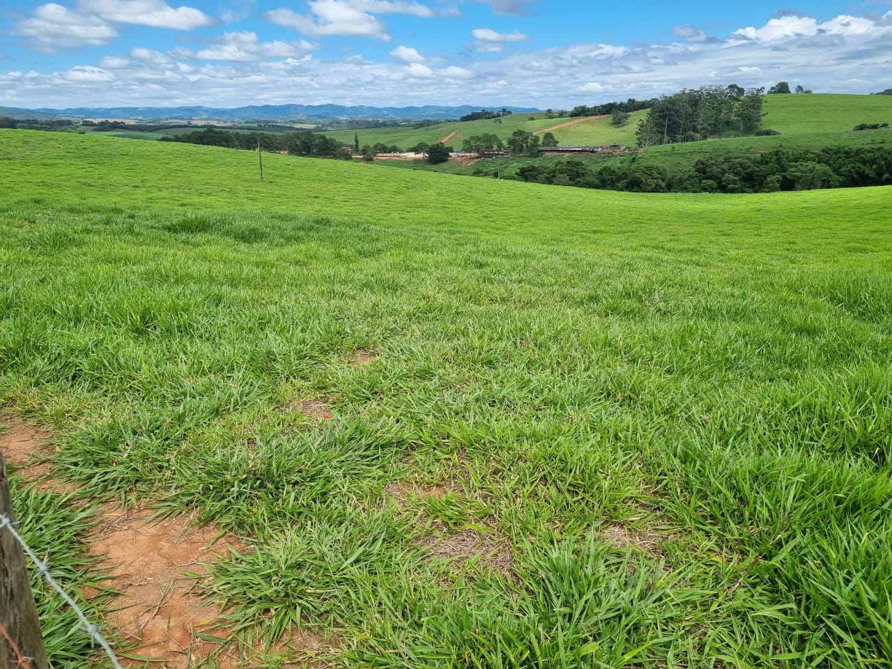 Chácara à venda com 1 quarto, 6590000m² - Foto 25