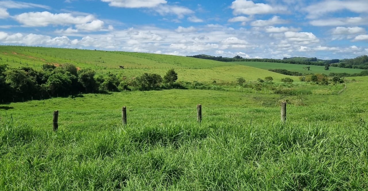 Chácara à venda com 1 quarto, 6590000m² - Foto 1