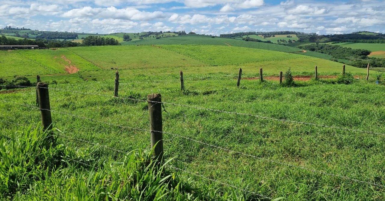 Chácara à venda com 1 quarto, 6590000m² - Foto 5