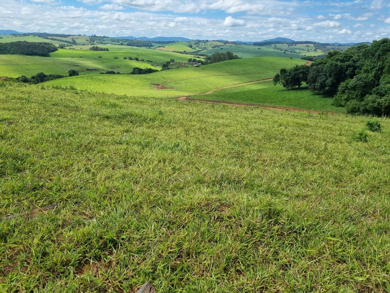 Chácara à venda com 1 quarto, 6590000m² - Foto 12