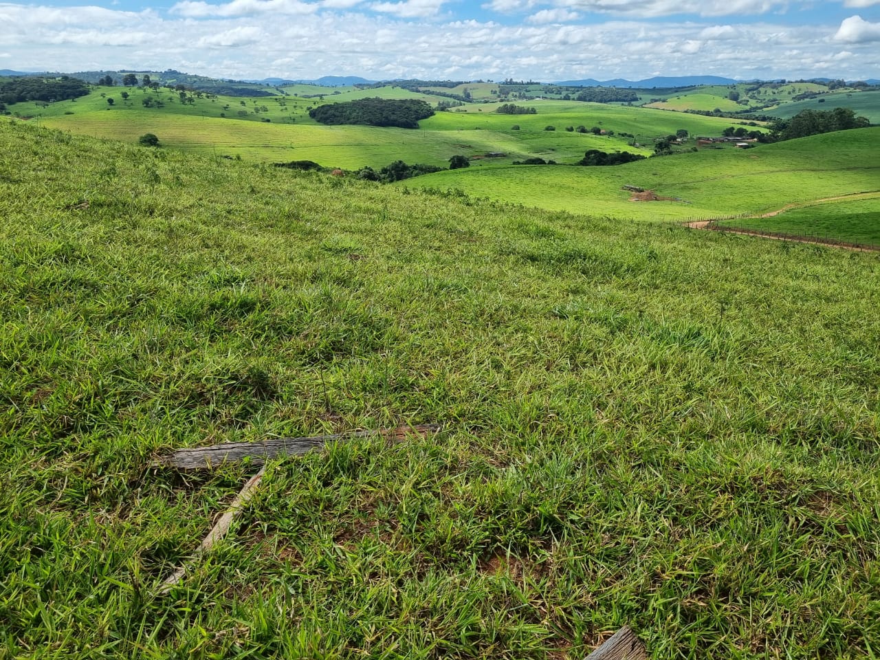 Chácara à venda com 1 quarto, 6590000m² - Foto 14