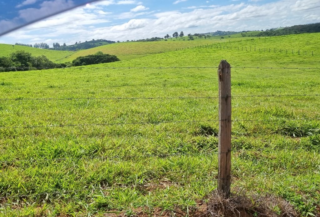 Chácara à venda com 1 quarto, 6590000m² - Foto 16