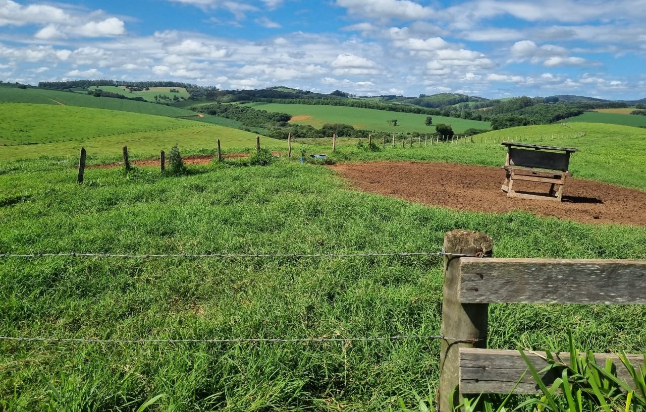 Chácara à venda com 1 quarto, 6590000m² - Foto 7