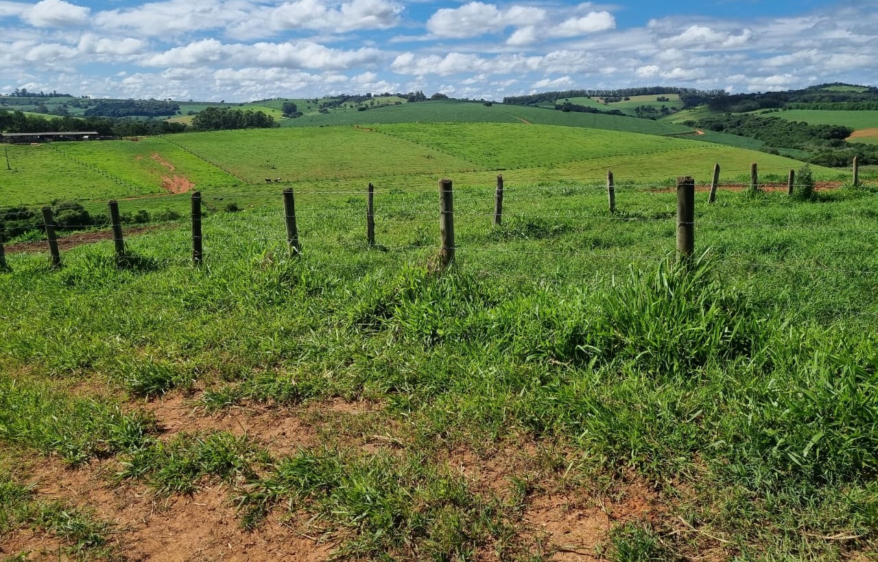 Chácara à venda com 1 quarto, 6590000m² - Foto 18